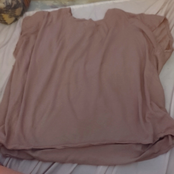 warehouse one Tops - Tan crop top tshirt!